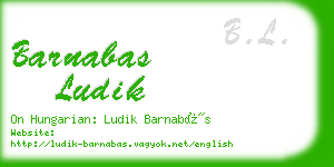 barnabas ludik business card